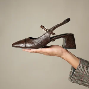 Hoya carnosa Compacta